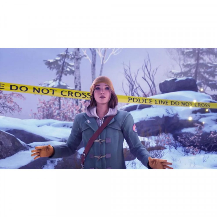 Игра Life Is Strange Double Exposure для PS5 (Рус. суб. и интерфейс) (Приключения, экшн)