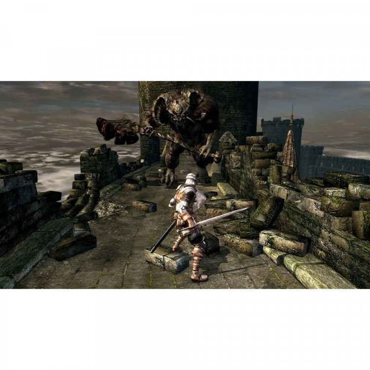 Игра Dark Souls Remastered для Nintendo Switch (Русские субтитры) (TRA-HAC-AK63B-UKV)