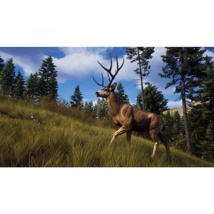 Игра Way of The Hunter для PS5 (PPSA 05732) (Русские субтитры)