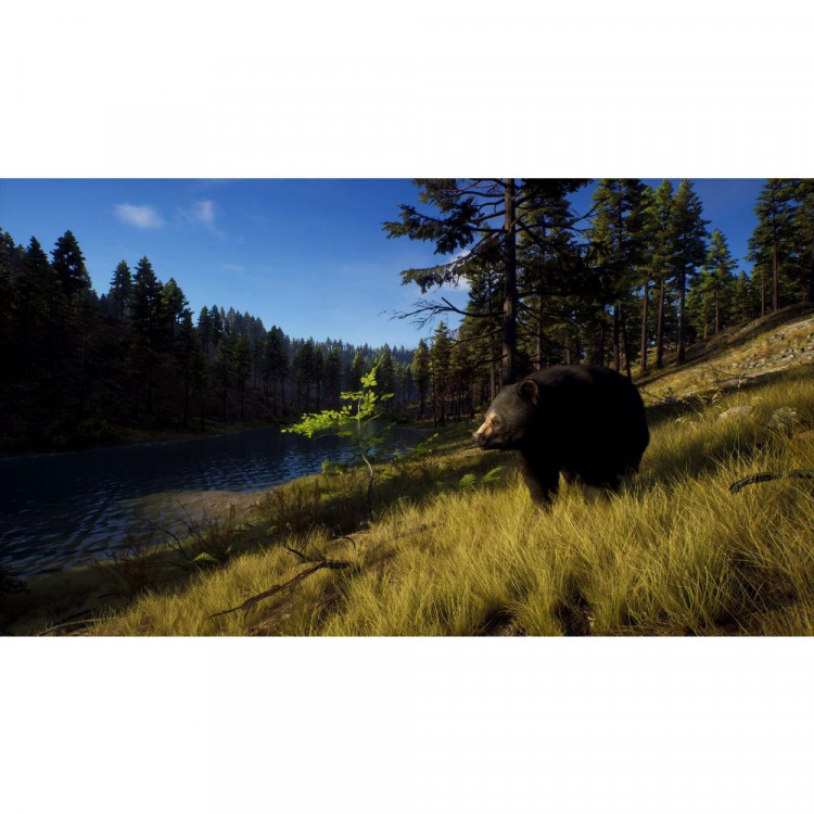 Игра Way of The Hunter для PS5 (PPSA 05732) (Русские субтитры)
