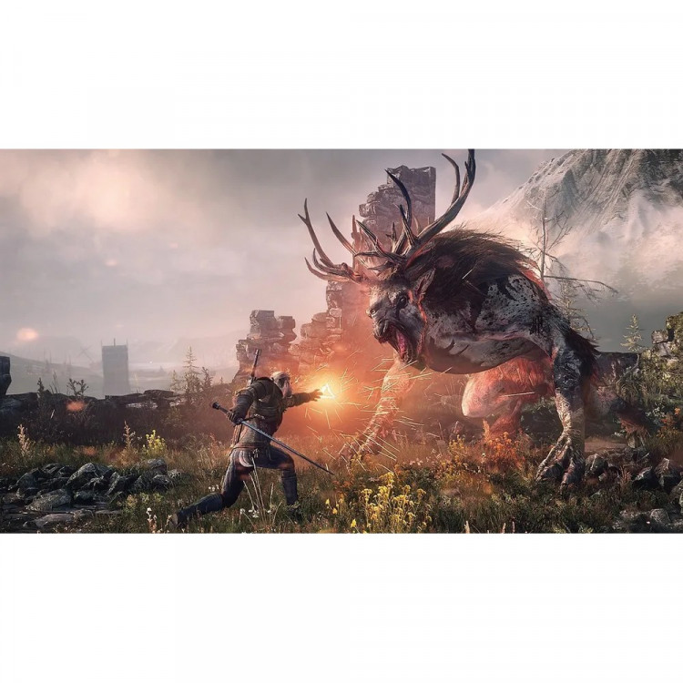 Игра Ведьмак 3: Дикая охота (The Witcher 3) (CUSA 05571) (Русские субтитры) для PS4