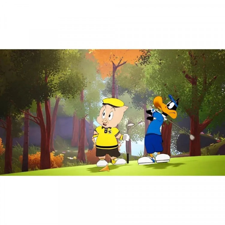 Игра Looney Tunes Wacky World Of Sports для PS5