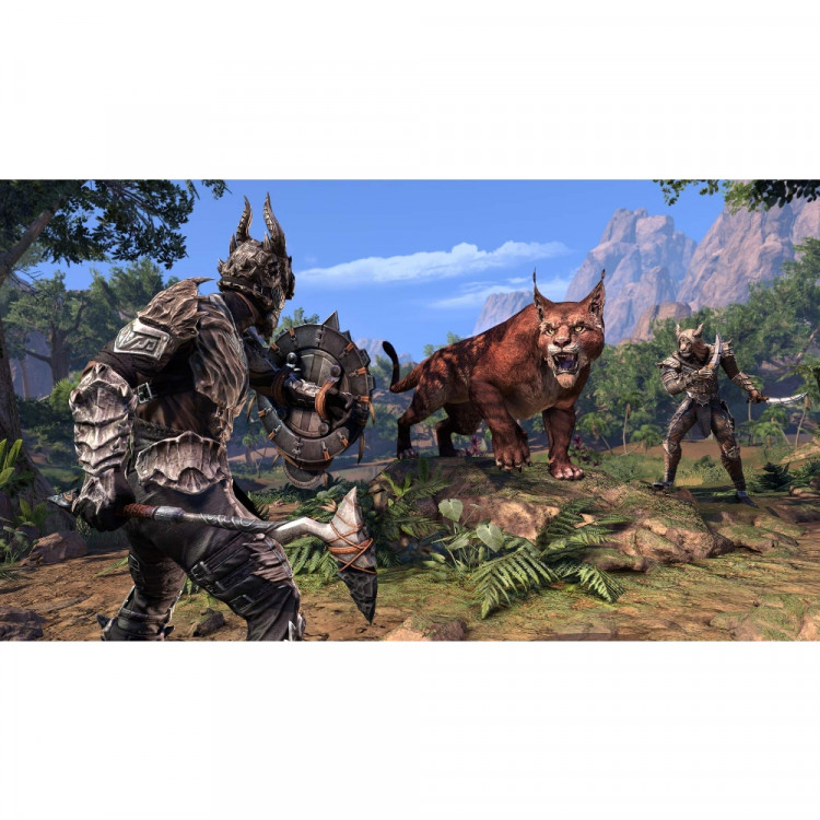 Игра The Elder Scrolls Online: Elsweyr для PS4