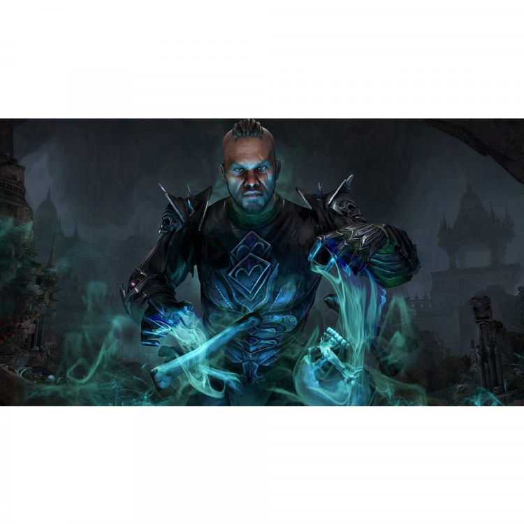 Игра The Elder Scrolls Online: Elsweyr для PS4