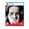 Игра Maid of Sker для PS5 (Рус. суб.) (Хоррор, экшн, приключения)