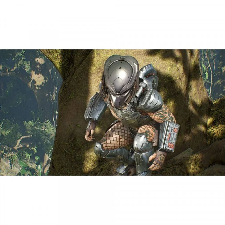 Игра Predator Hunting Grounds для PS4 (CUSA16559) (Рус. суб.)