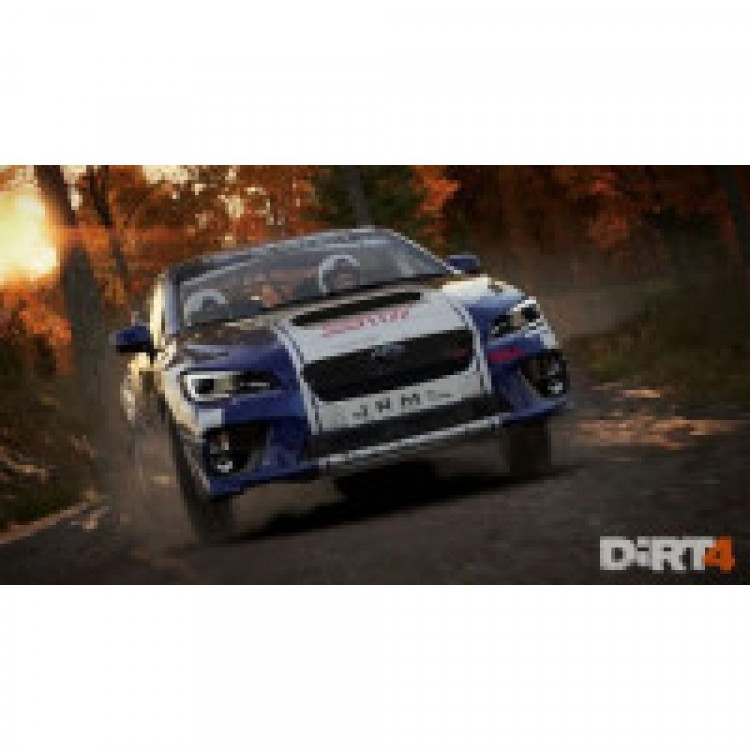 Игра Dirt 4 для PS4