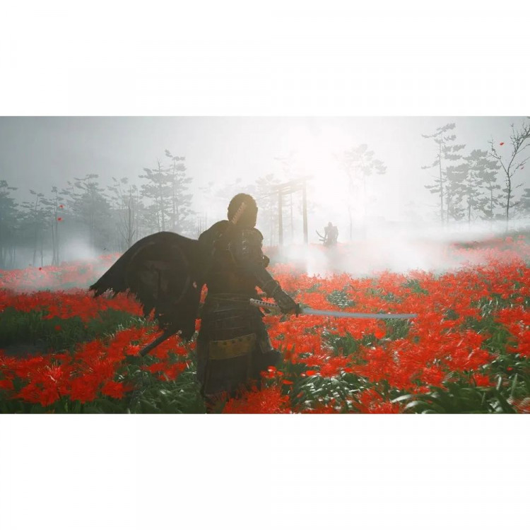 Игра Ghost of Tsushima (Призрак Цусимы) для PS4 (CUSA 13323) (Русская версия)