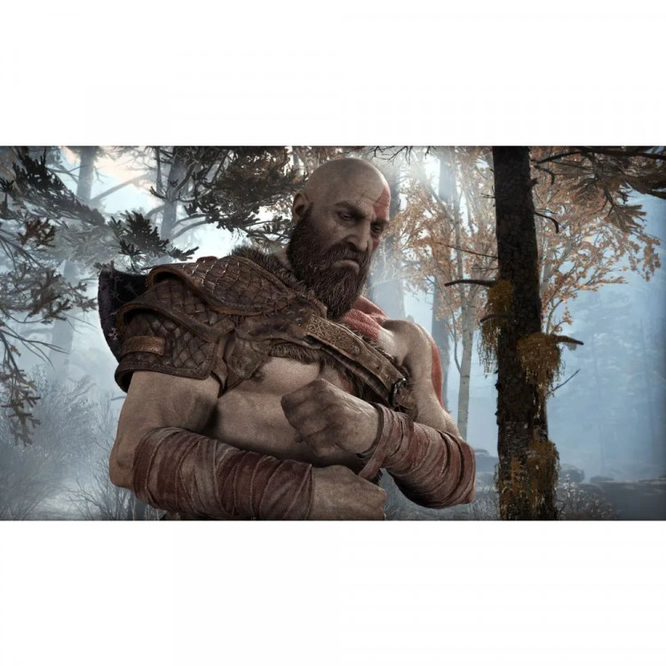 Игра God of War для PS4 (Английская версия)