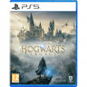 Игра Hogwarts Legacy для PS5 (PPSA01603) (Русские субтитры)