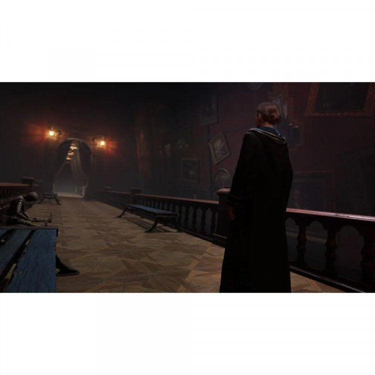 Игра Hogwarts Legacy для PS5 (PPSA01603) (Русские субтитры)