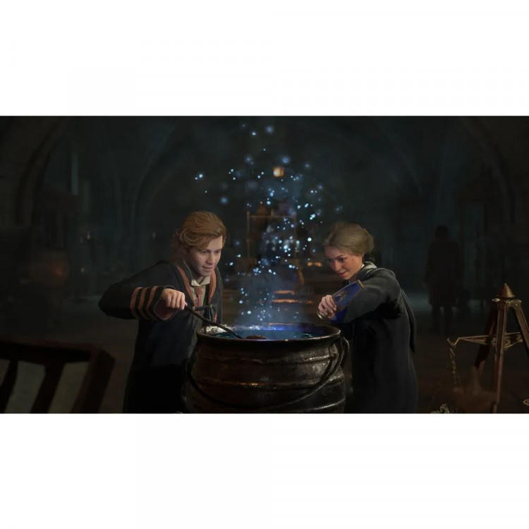 Игра Hogwarts Legacy для PS5 (PPSA01603) (Русские субтитры)