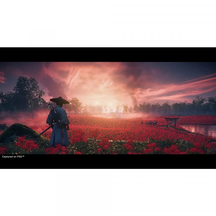 Игра Призрак Цусимы (Ghost of Tsushima) для PS4 (CUSA13323) (Русская версия) (Русская обложка)