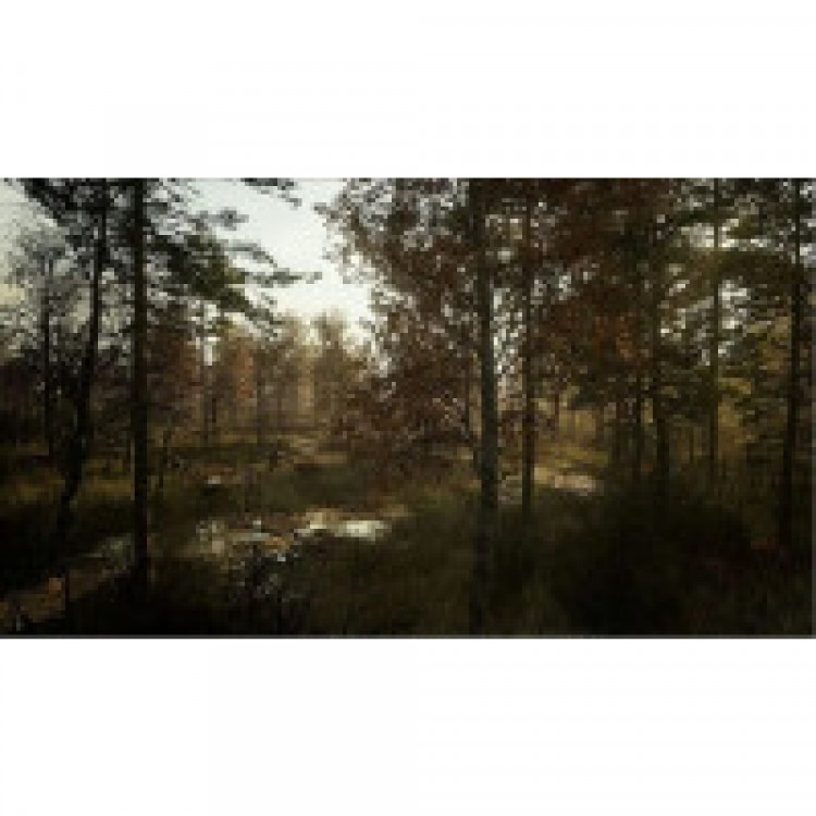 Игра ChernobyLite для PS4 (CUSA 28037) (Русская версия)