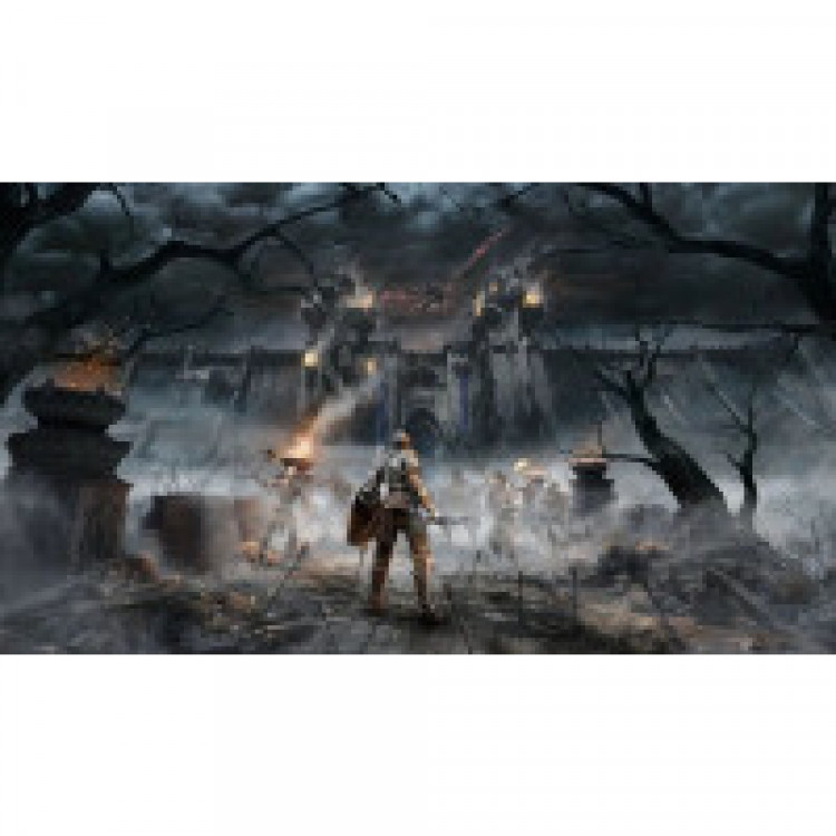Игра Demon's Souls для PS5 (PPSA 01341) (Русские субтитры) (Русская обложка)