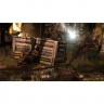 Игра Tomb Raider для PS3