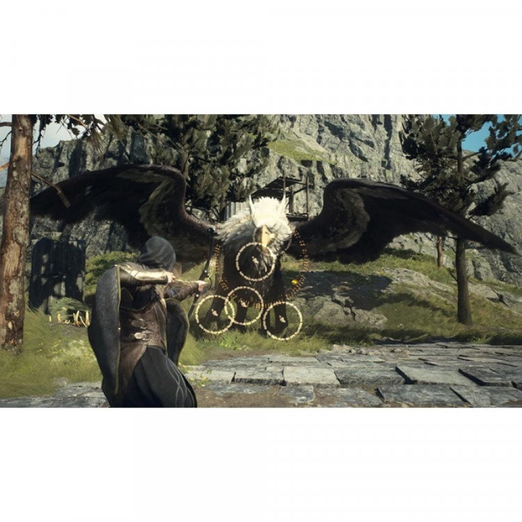 Игра Dragon’s Dogma 2 для PlayStation 5/ PS5 (PPSA 09664) (Русские субтитры)