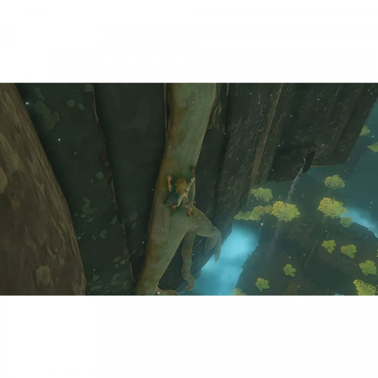Игра The Legend of Zelda: Tears Of The Kingdom для Nintendo Switch (Русская версия)