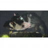 Игра The Last Guardian для PS4