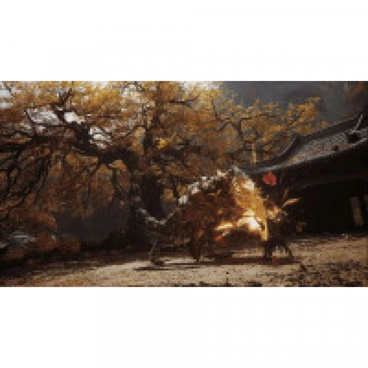 Игра Black Myth Wukong (на диске) для PS5 (PPSA 23226) (Русские субтитры) (ПРЕДЗАКАЗ)