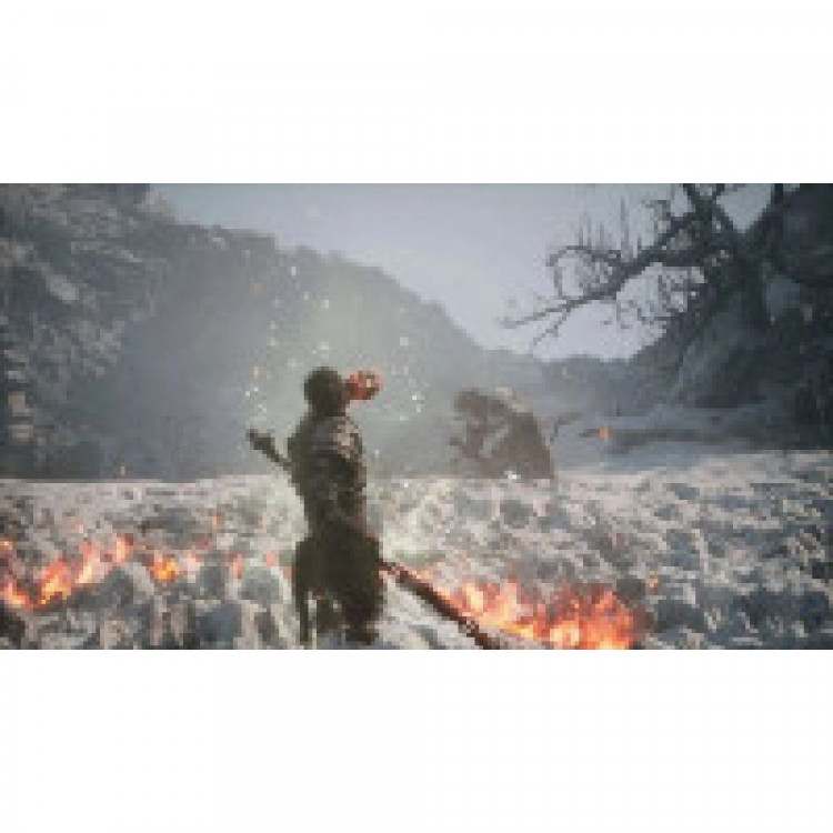 Игра Black Myth Wukong (на диске) для PS5 (PPSA 23226) (Русские субтитры) (ПРЕДЗАКАЗ)