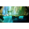 Игра Ori and the Blind Forest для Nintendo Switch (Русские субтитры)